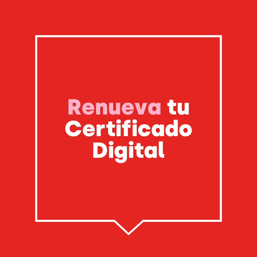 Cómo Renovar El Certificado Digital Más FÁcil De Lo Que Crees